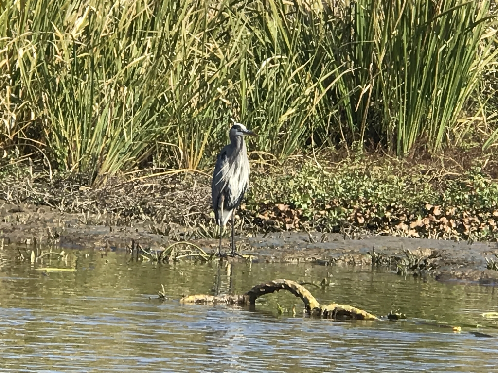 IMG_0775.JPG
